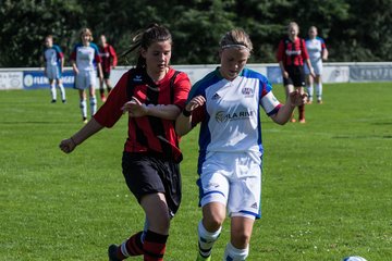 Bild 289 - B-Juniorinnen SVHU - Weststeinburg : Ergebnis: 15:0